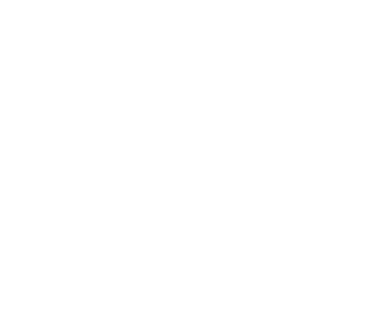Bison Roofing logo